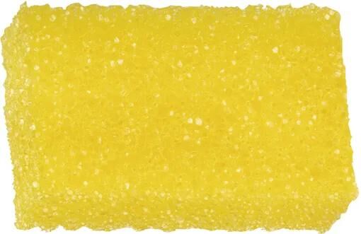 Autosol insektsvamp insektskum