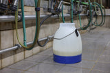 Kerbl produkter mælkespand halvgennemsigtig blå 30 liter