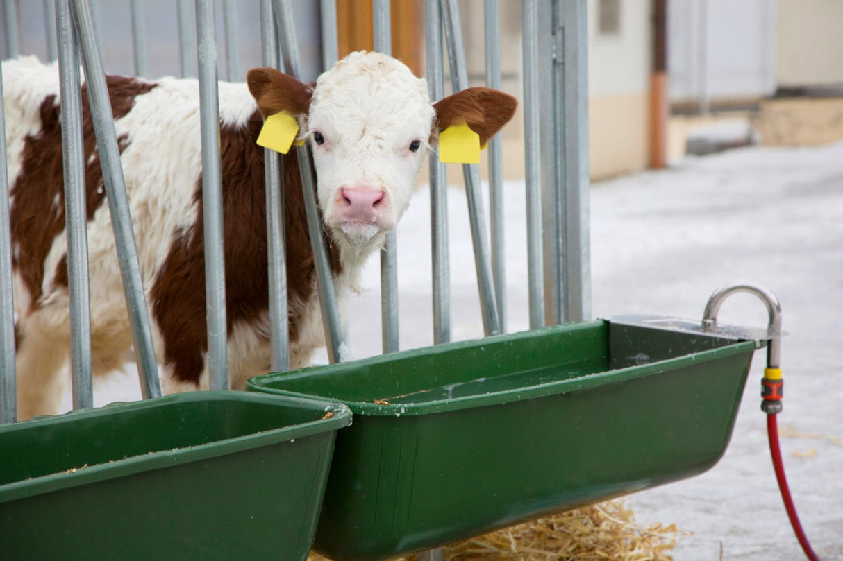Produkter hængende drikketrug plast 100cm med flyder