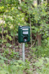 Produkter dyr repeller sonicflash solenergi
