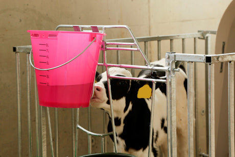 Produkter kalvespand plast fladtrykt bare pink gennemsigtig