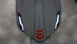 Niveau10 RAW SET TIL LED RYGE | Vespa Sprint Primavera