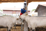 Produkter happycow kvæg børste flexiswing