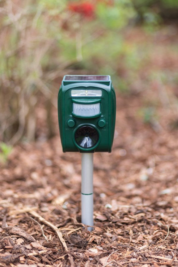 Produkter dyr repeller sonicflash solenergi