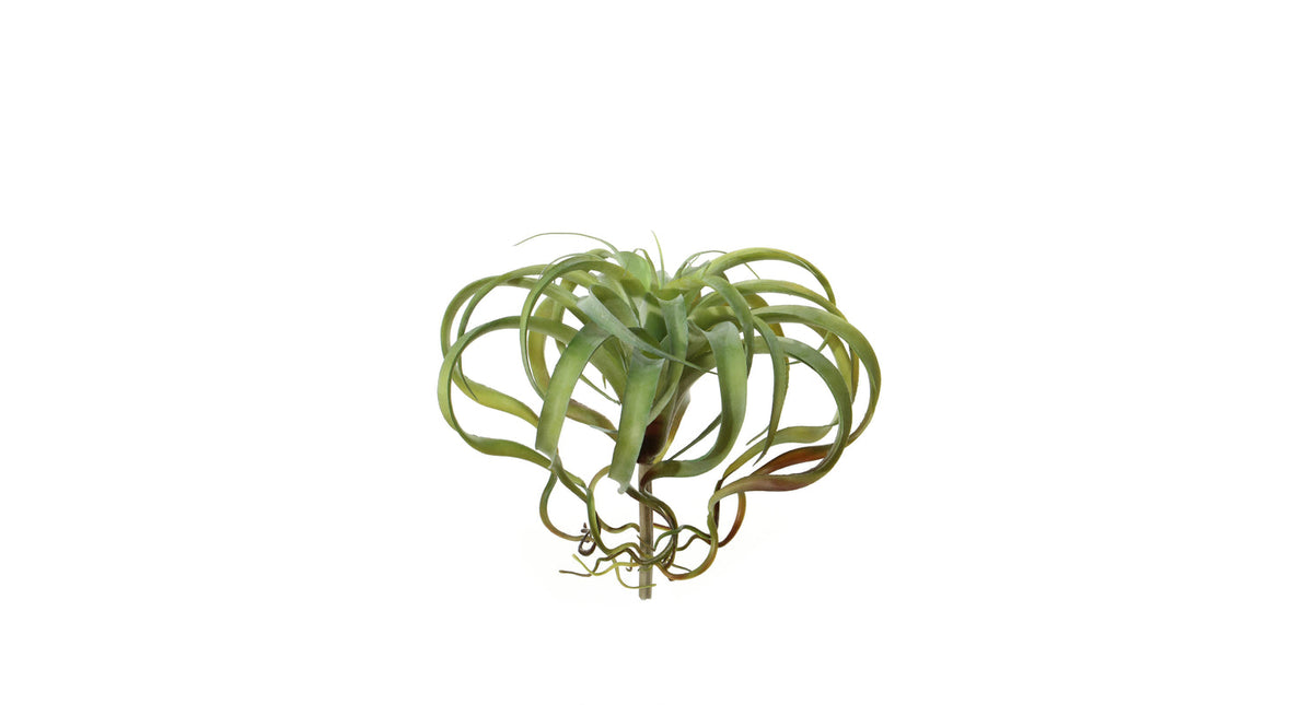 Tillandsia d35cm groen