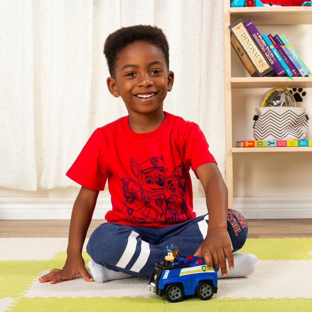 Paw Patrol Basic Chase til køretøjer