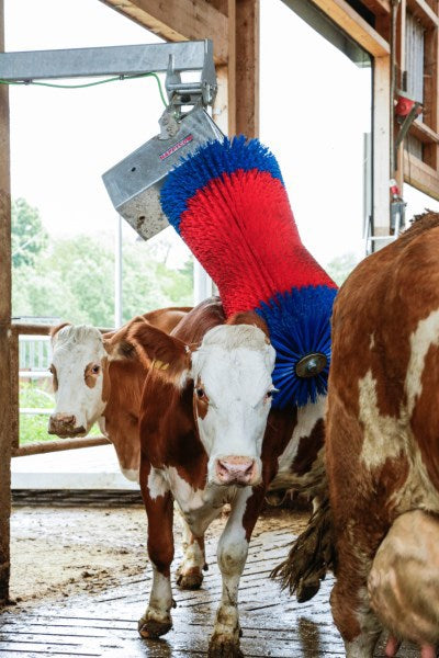 Produkter happycow ko børste maxiswing