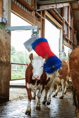 Produkter happycow ko børste maxiswing