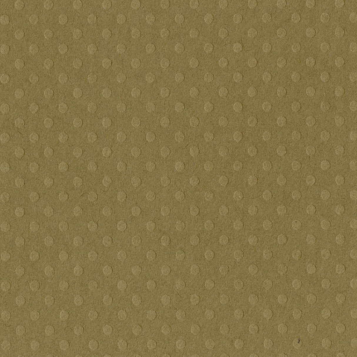 Bazzill • dot swiss 30,5x30,5cm mudderpøl