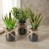 Boltze home sukkulente i potte ã˜10x17cm kunstig plante i glaskrukke