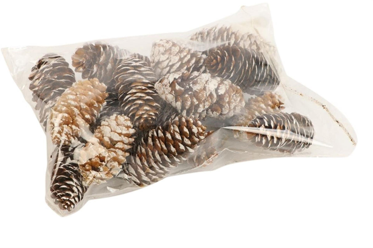 Hbx naturlig levende fyrrekogle gran 150gr l-6 hvid