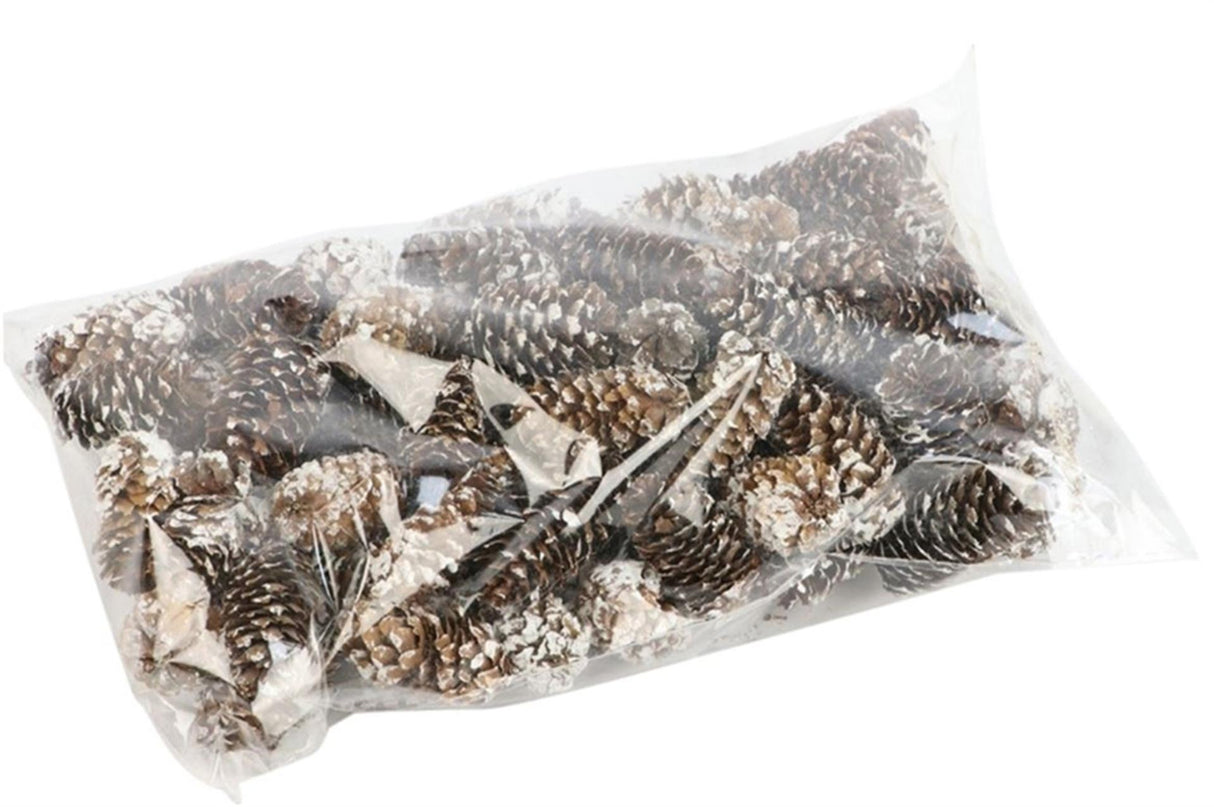 Hbx naturlig levende fyrrekogle grankogle minigran 180g i gennemsigtig emballage