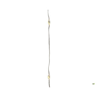 Lumineo sølvtråd varm hvid; 295 cm | 60 stk