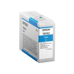Patron sjic18 2393310