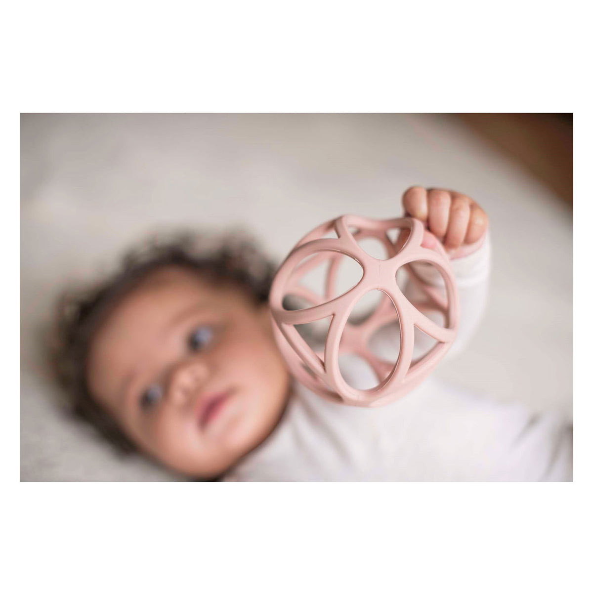 Lille hollandsk gribebold pink