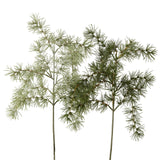 Boltze boligindretningsgren fyrretræ h62cm