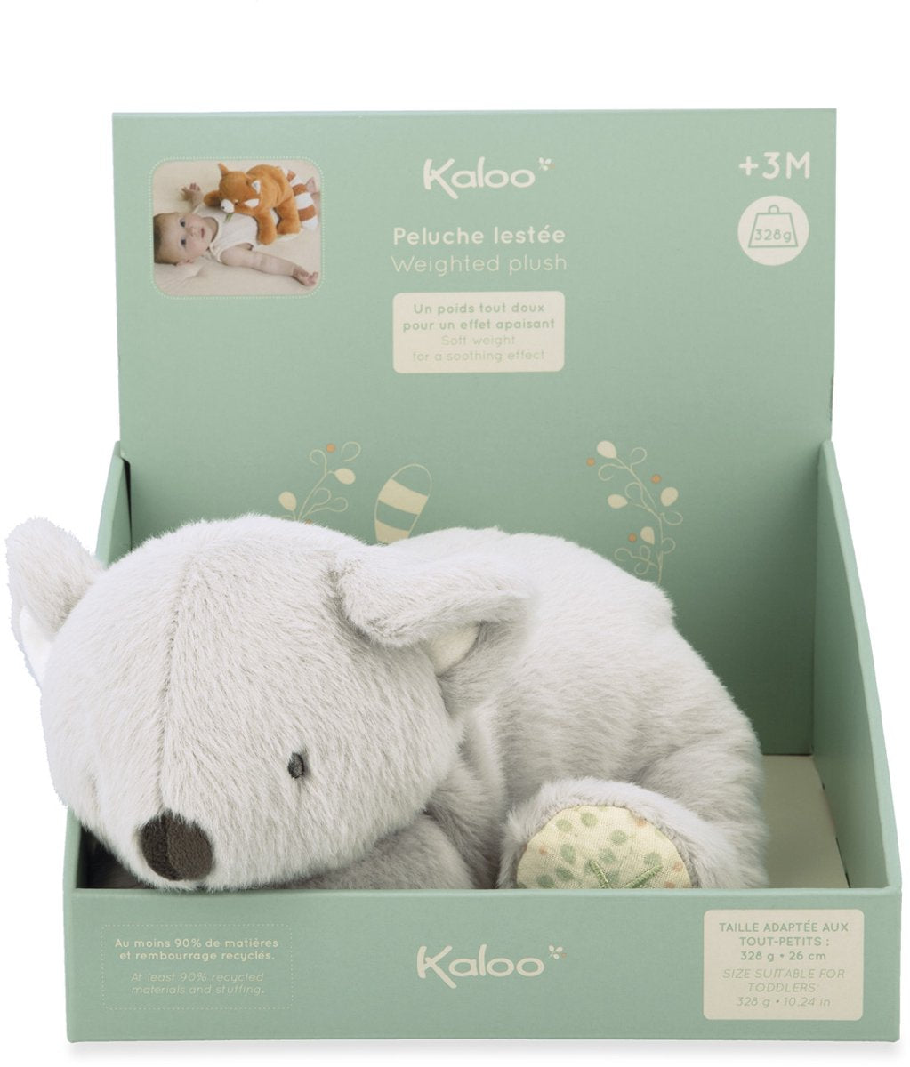 Kaloo petit songe - tung koala