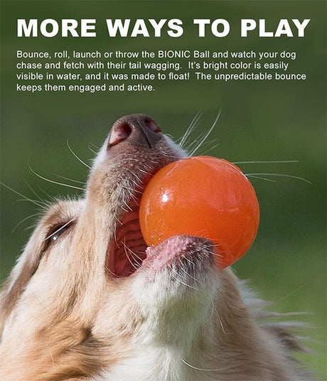Bionic ball l - 8cm oranje
