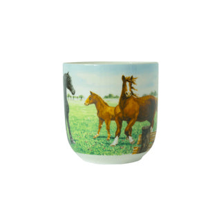 Wiebe van der Zee kop xl hest 41 cl Wiebe