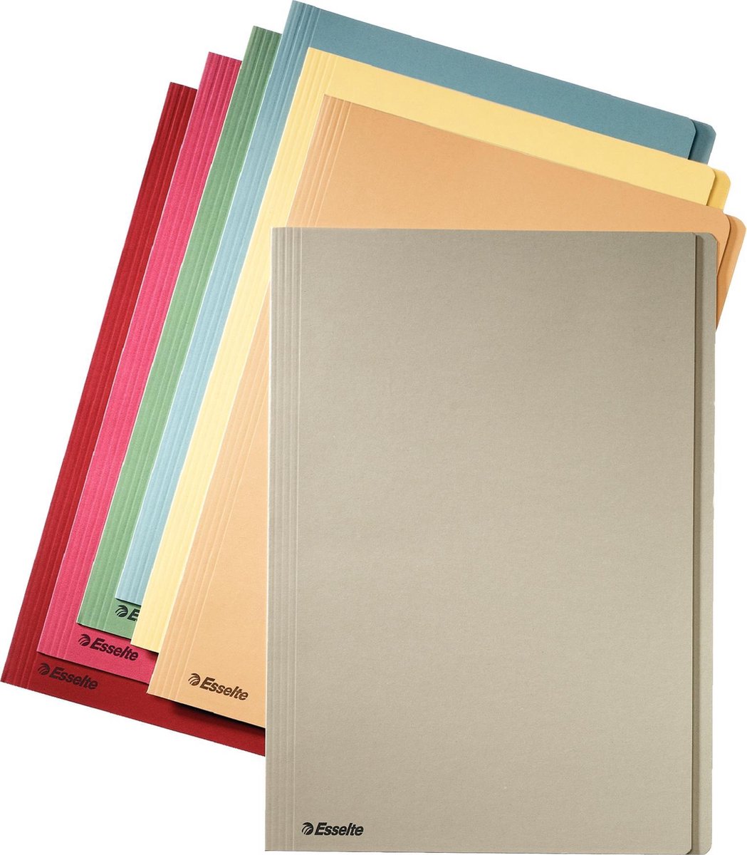 Esselte 100x file folder blå format folio