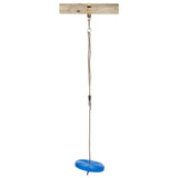Swinging Swing Disc Blue