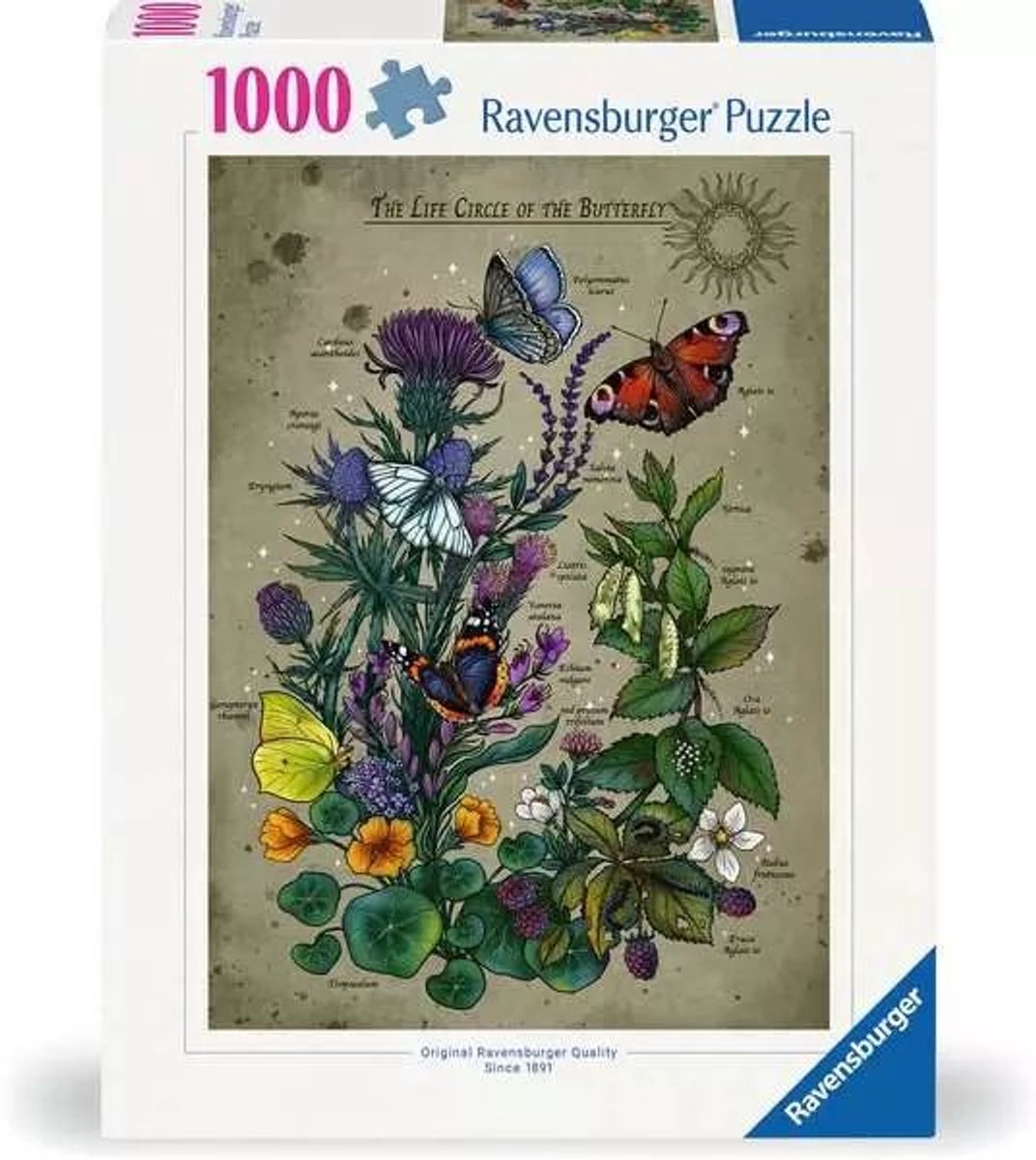 Ravensburger sommerfugl