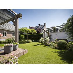 Kunstgræs casa pura cambridge green