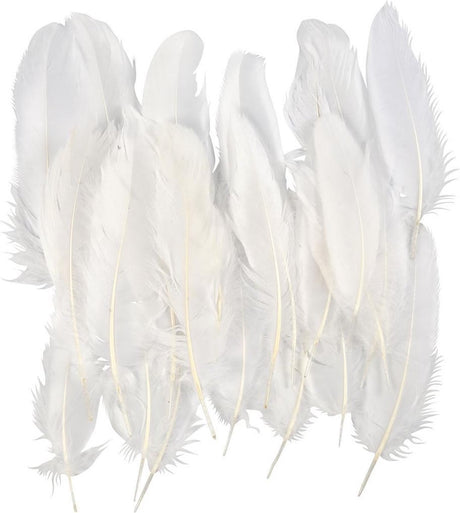 Creativ virksomhed https: www.cchobby.nl feathers-size-10-18-white-70-piece-1-bag
