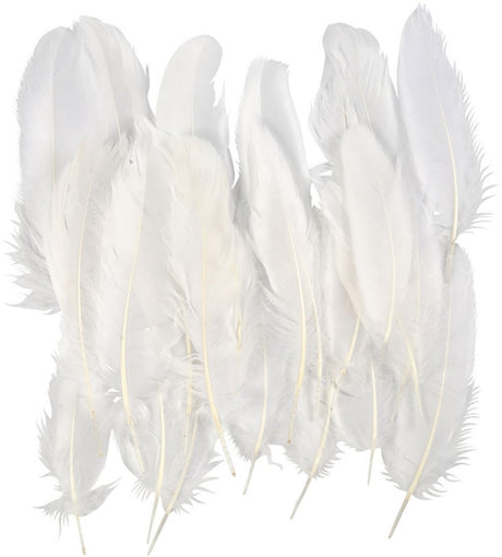 Creativ virksomhed https: www.cchobby.nl feathers-size-10-18-white-70-piece-1-bag