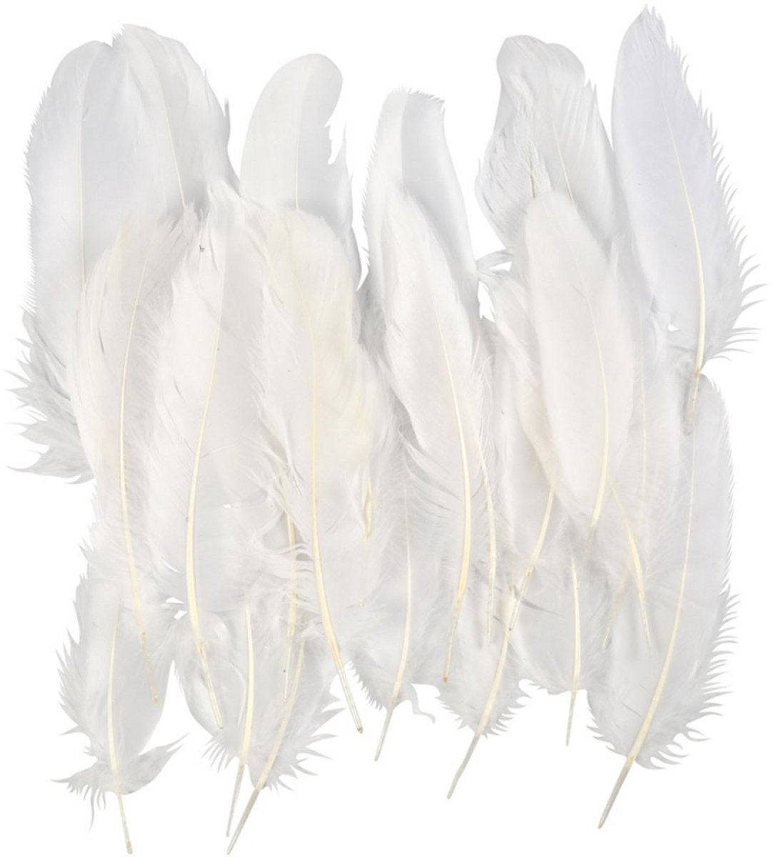 Creativ virksomhed https: www.cchobby.nl feathers-size-10-18-white-70-piece-1-bag