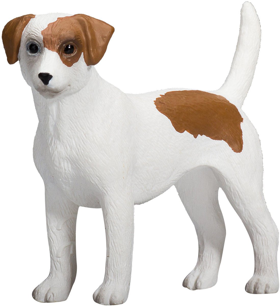 Mojo farmland jack russell terrier - 387286