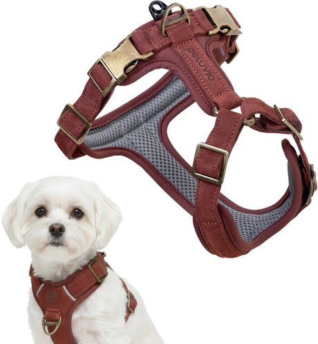 Peluvio lord - hundesele i læder - størrelse xs - ergonomisk beskyttelsessele lavet af naturligt læder - komfortkontrol - holdbare kobberspænder