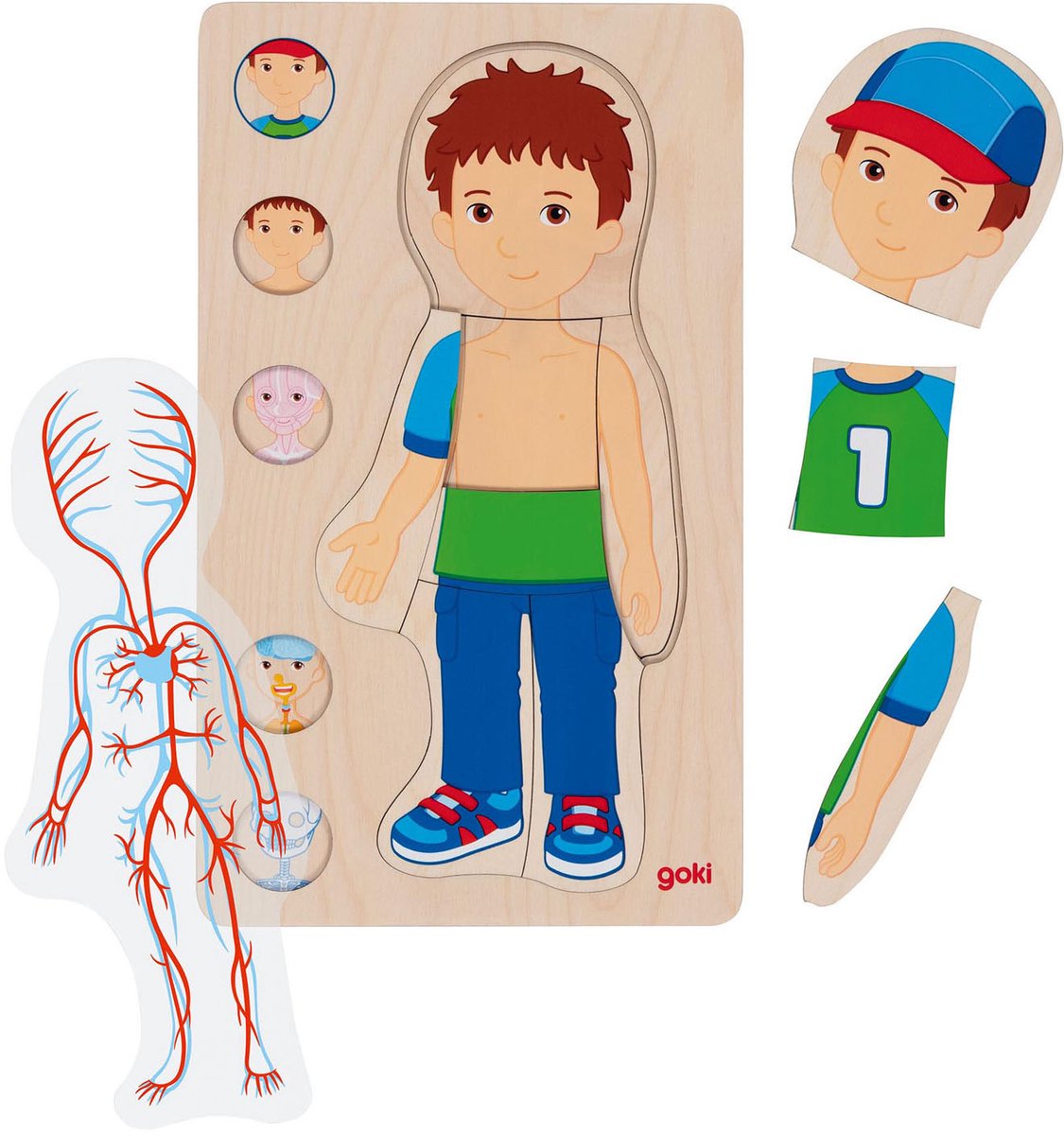 Goki Wood Layer Puzzle Human Body Boy, 29 ..