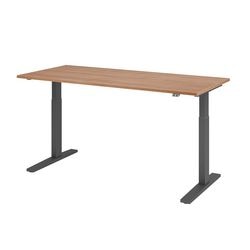 Bach siddestående skrivebordshammer vxmka19 n g flerfarvet 1800 x 800 mm