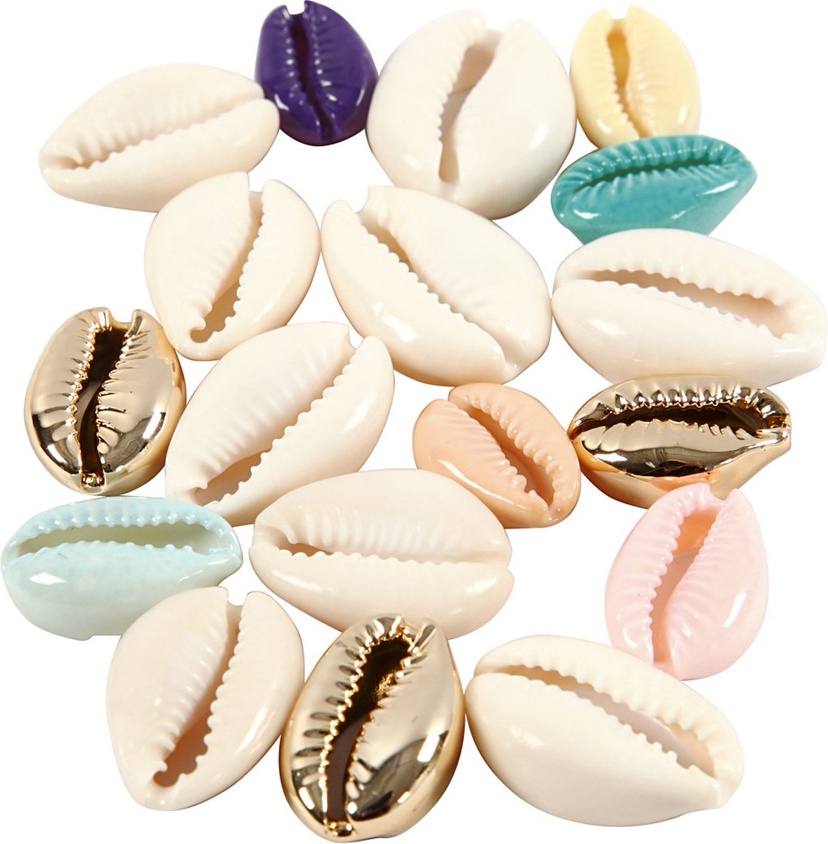Creativ virksomhed https: www.cchobby.nl shells-l-20-mm-various-colors-75-piece-1-box