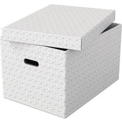 Esselte opbergdoos 628286 large 55 l wit