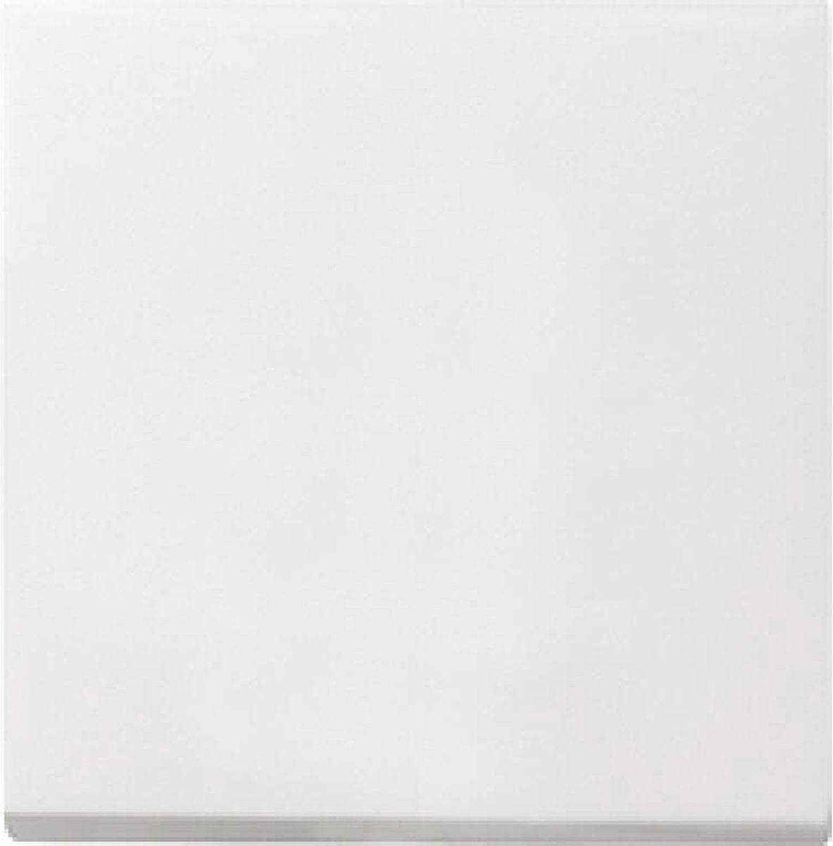 Gira systeem 55 besturingselement centrale plaat schakelmateriaal - 029627 - e29dr