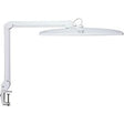 Skrivebordslampe maul 8205602 maulexplore hvid