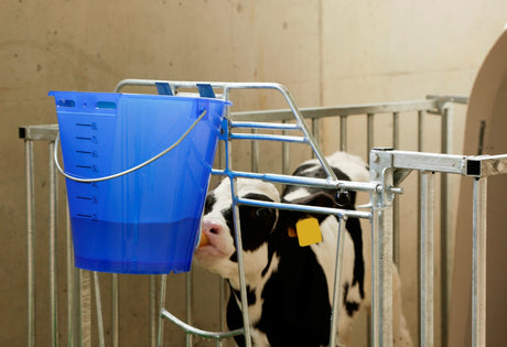 Produkter kalvespand plast fladtrykt bare blå gennemsigtig