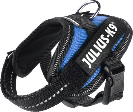 Julius k9 julius-k9 idc strømsele - 3xs - baby1 - azurblå