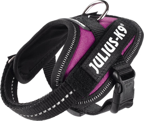 Julius k9 julius-k9 idc®power sele, 3xs - baby1, mørk pink