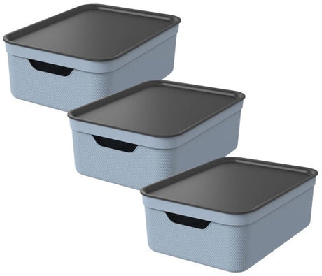 Rotho jive opbevaringsbokse sæt med 3 opbevaringsbokse 10 l med låg, plast (pp genbrugt), blå antracit, 3 x 10 l, 36,5x26,5x13cm