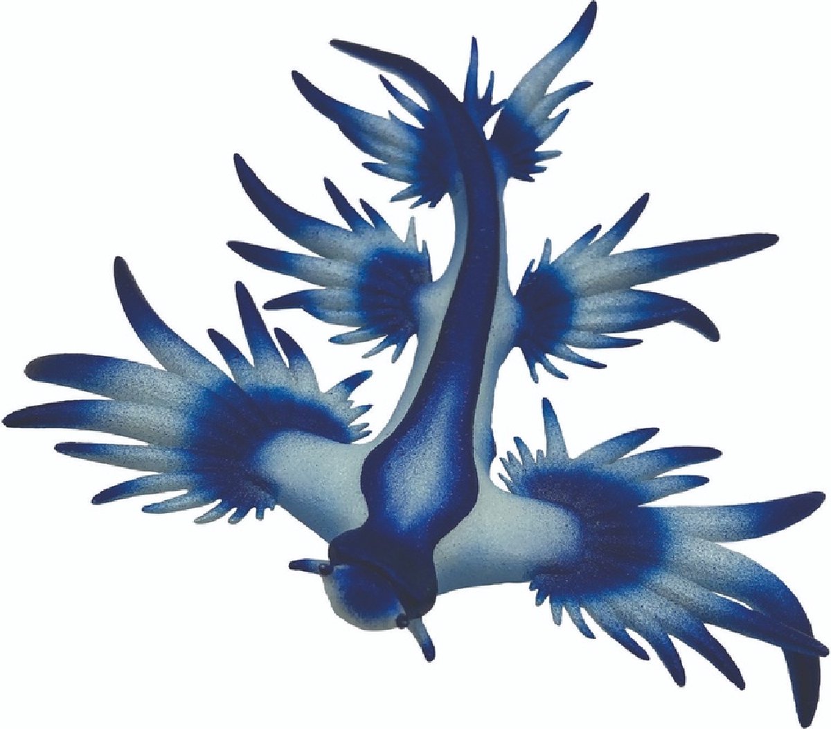 Bullyland 67511 – legefigur og samlerfigur blå søsnegl – ca. 4 cm – naturtro og detaljeret design – ideel som pædagogisk legefigur og lille gave til børn fra 3 år.