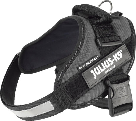 Julius k9 julius-k9 idc®power sele, m - størrelse 0, antracit
