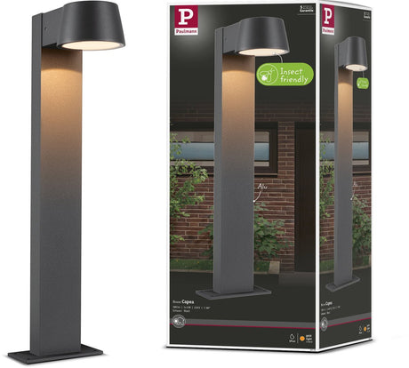 Paulmann LED pullert lampe capea insektvenlig ip44 500 mm 2200k 6w 450lm 230v 98° antracit aluminium
