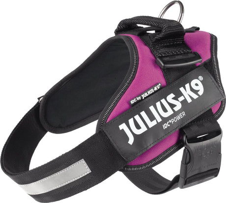 Julius k9 julius-k9 idc®power sele, l - størrelse 1, mørk pink