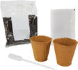 Kidscovery science urtehave