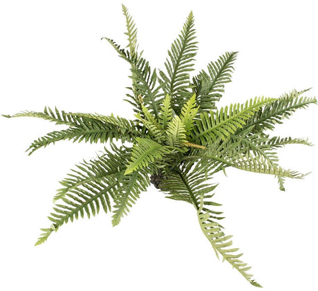 Terra della aqua d'ella kunstig plante bregnegrøn