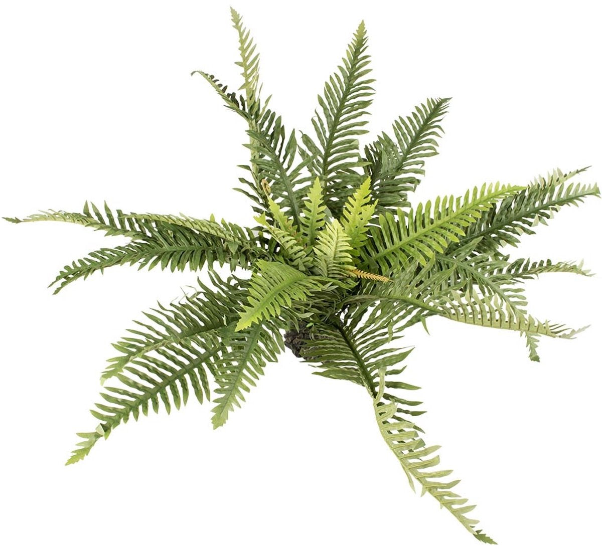Terra della aqua d'ella kunstig plante bregnegrøn