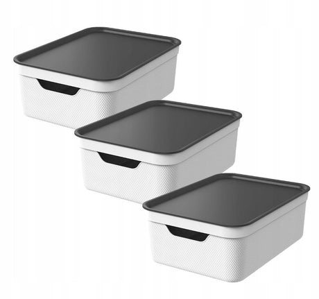 Rotho jive opbevaringsbokse sæt med 3 opbevaringsbokse 10 l med låg, plast (pp genbrugt), hvid antracit, 3 x 10 l, 36,5x26,5x13cm